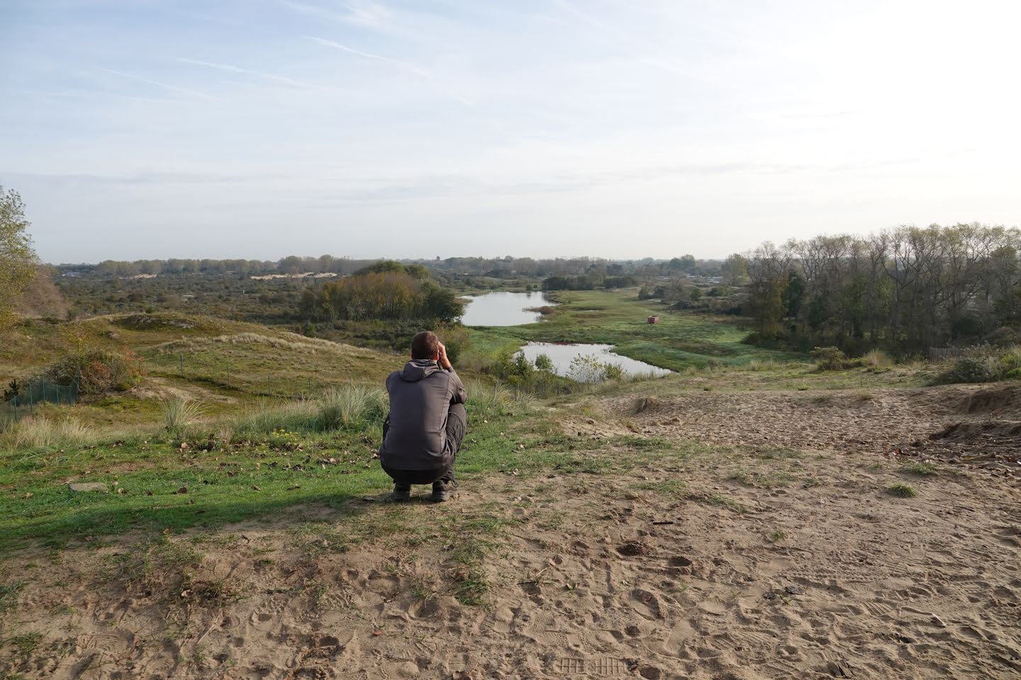 De hoge blekker in Koksijde