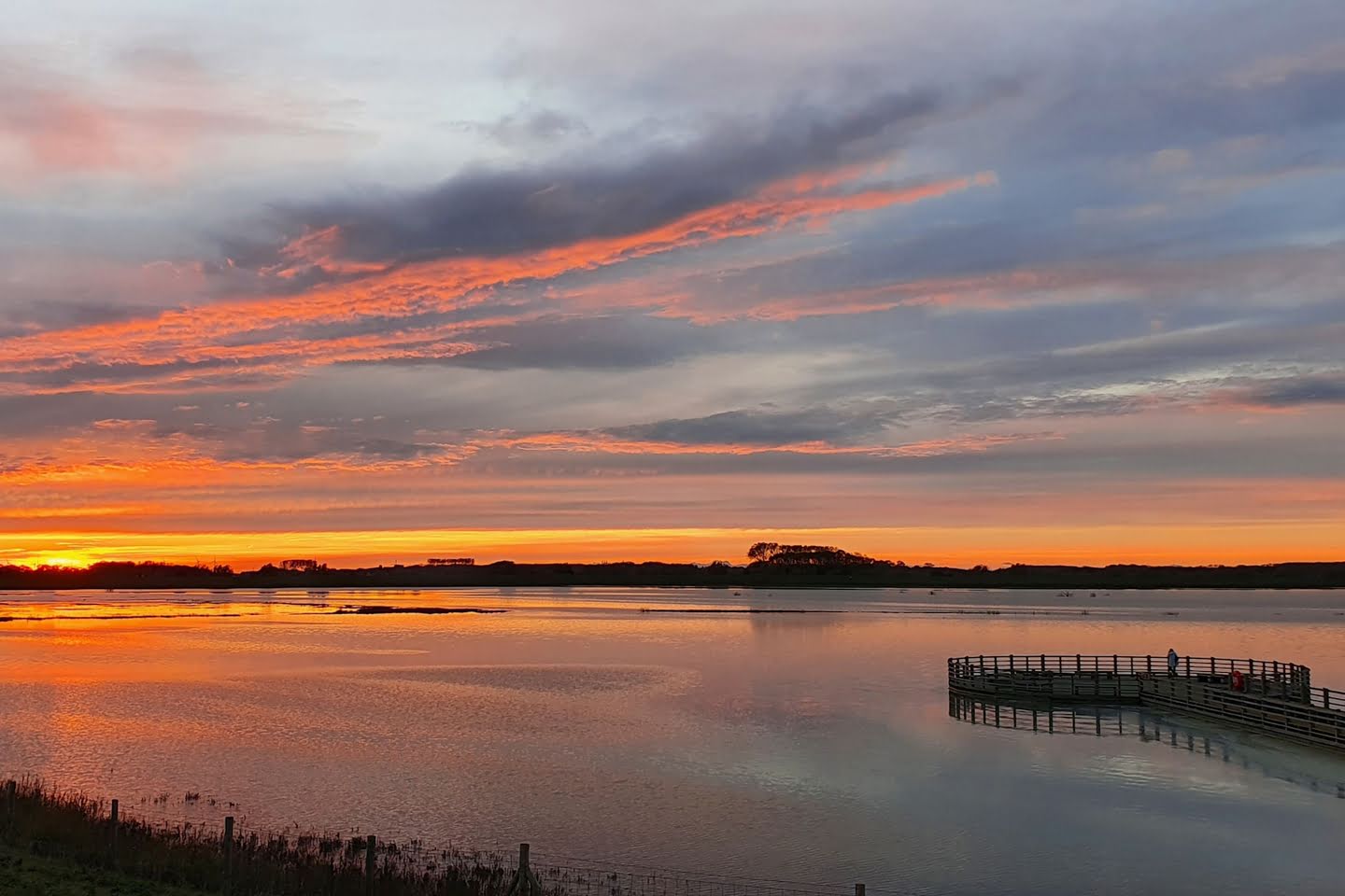 Natuurreservaat Het Zwin